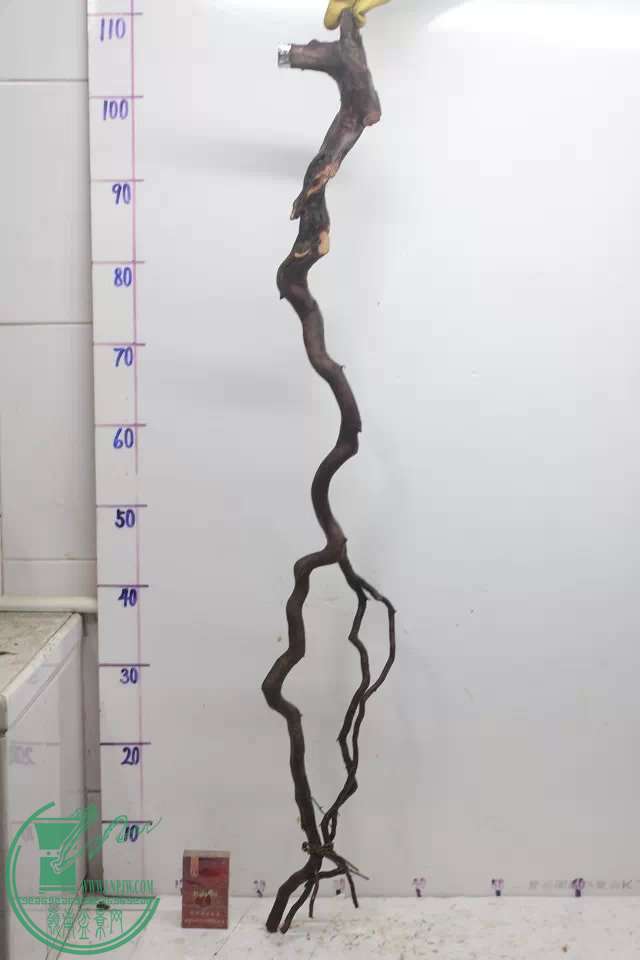 psb (9).jpg