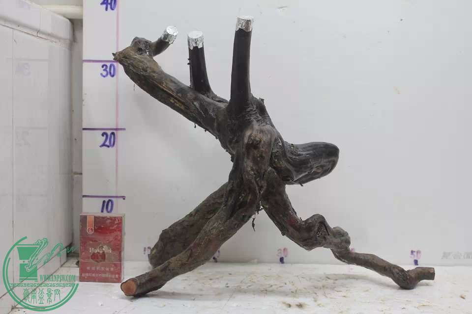 psb (3).jpg