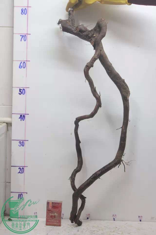 psb (12).jpg