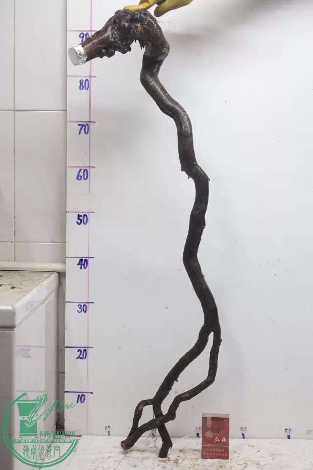psb (18).jpg