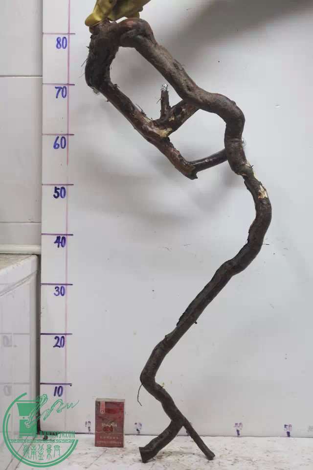 psb (8).jpg