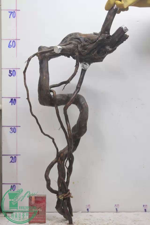 psb (9).jpg