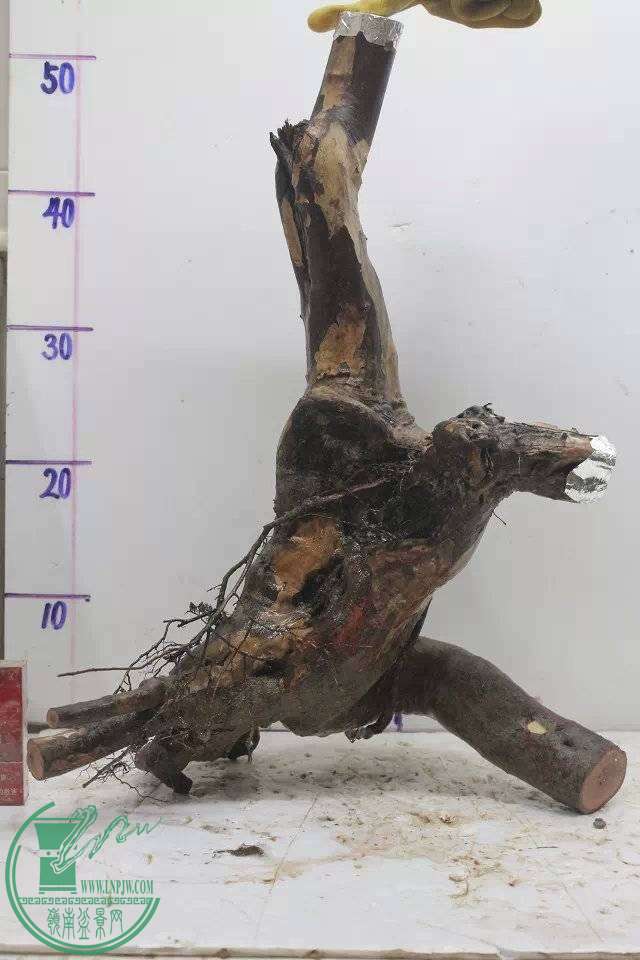 225831z7c2lfex0zhx1eh0.jpg.thumb.jpg