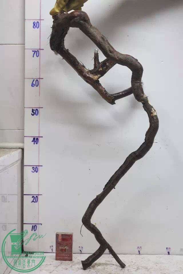 235126uv9e666d01x76bux.jpg.thumb.jpg