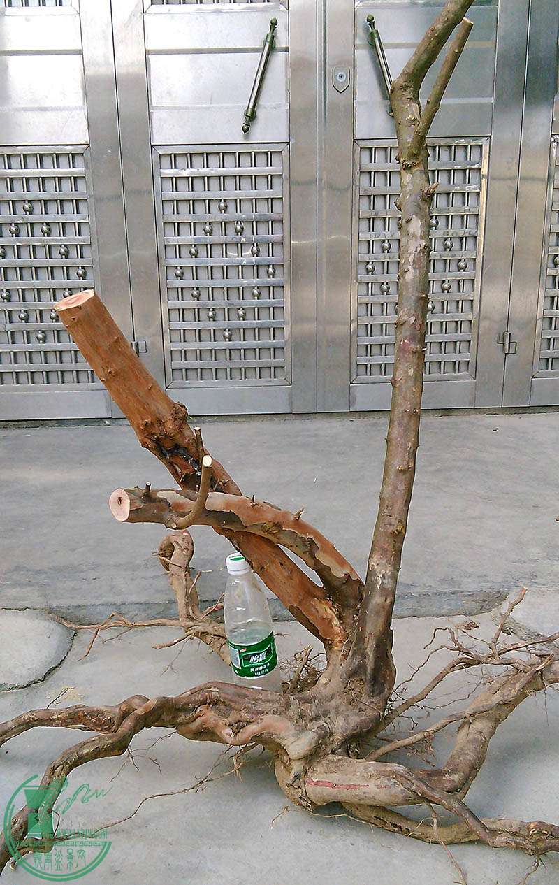 ȸ÷4.jpg