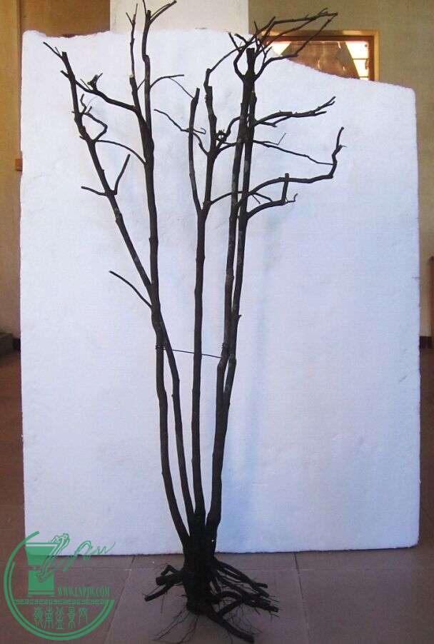 QQͼƬ20150202142021.jpg