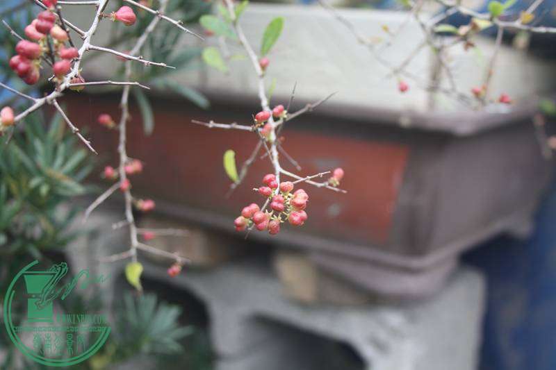 Ƭ20131026ۺ 2533.jpg