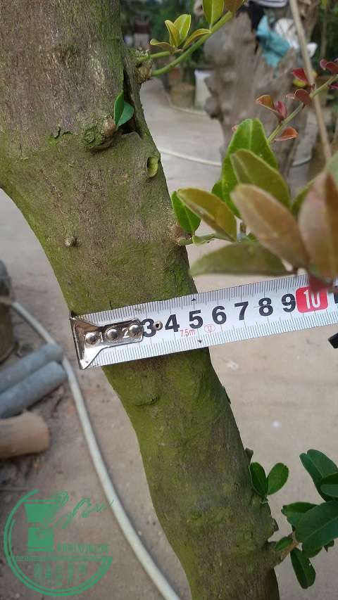20150202_165319.jpg