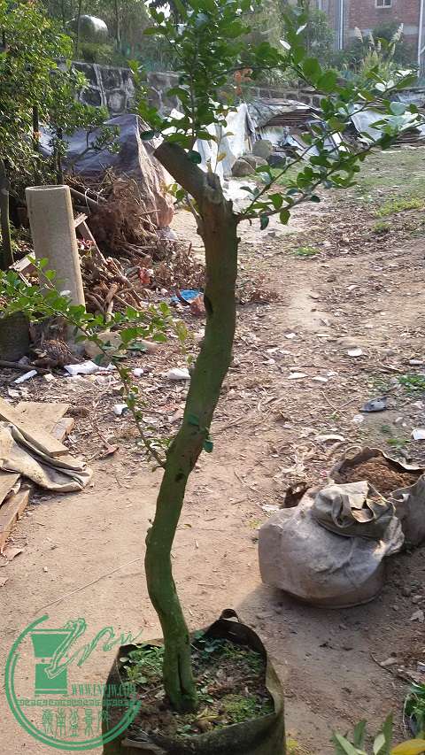 20150202_165338.jpg