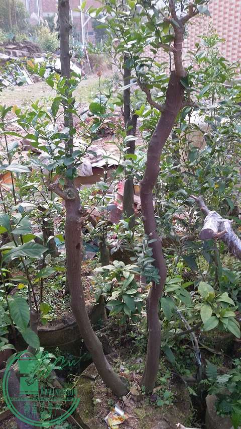 20150202_165702.jpg