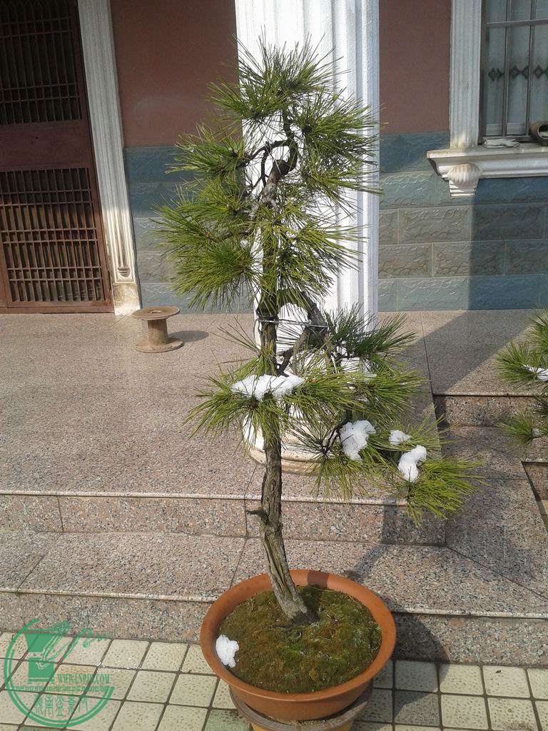 20150130_124110.jpg