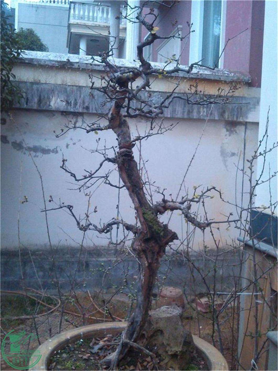 ȸ17.jpg