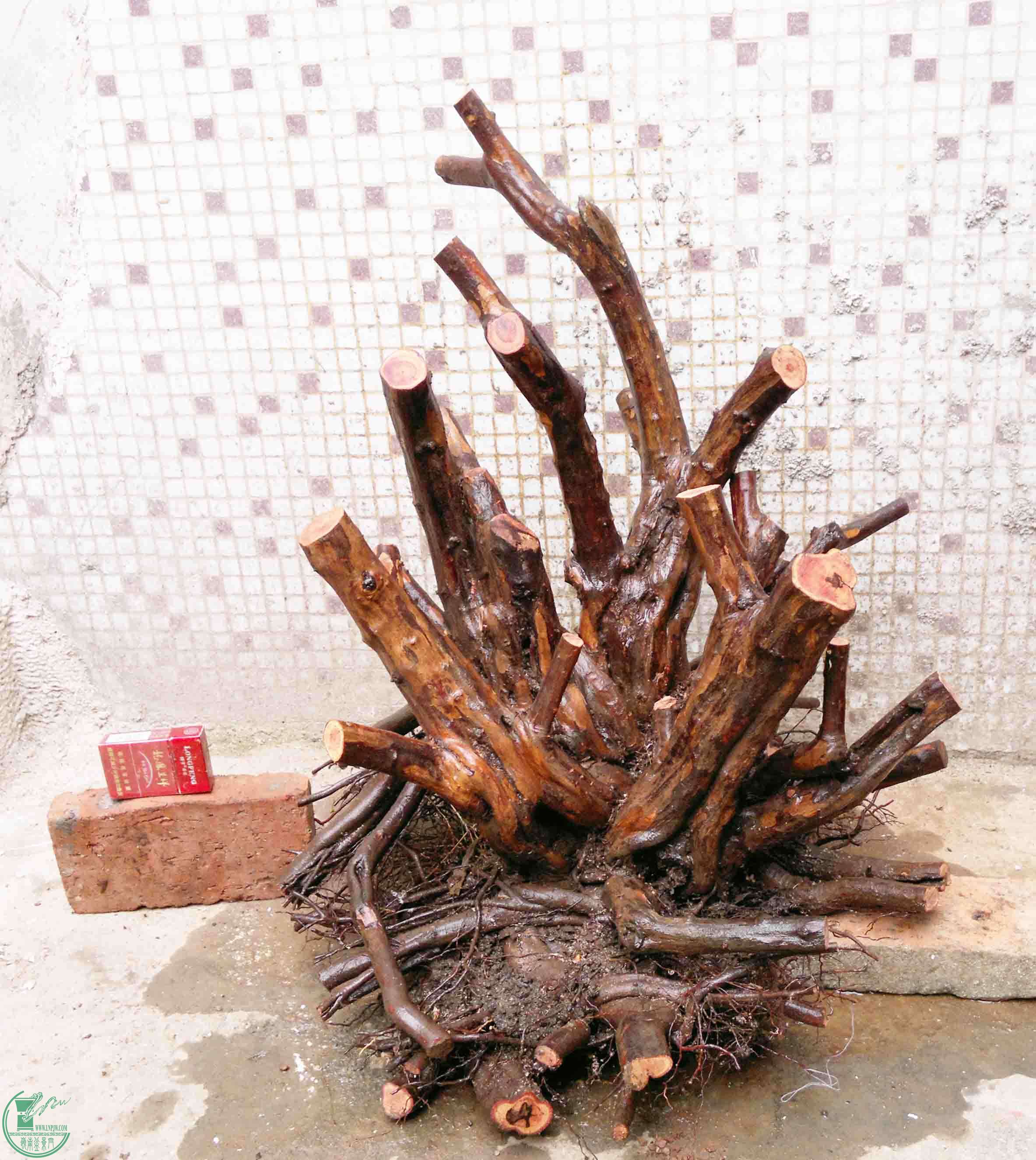 201502031807.jpg