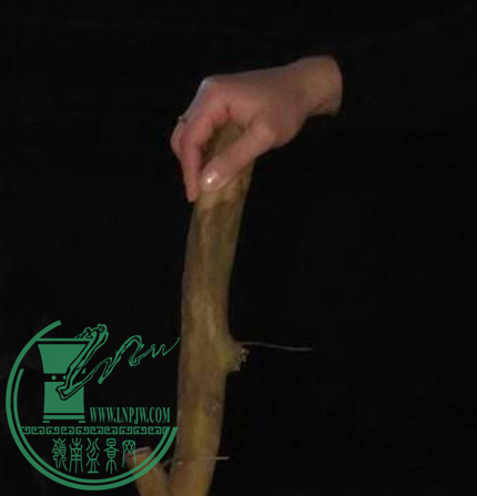 QQͼƬ20150203121738.png