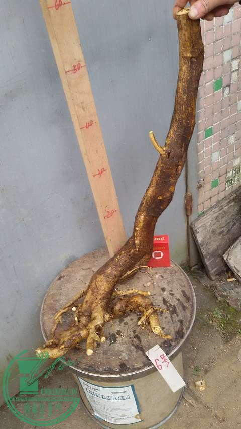 20150203_161749.jpg