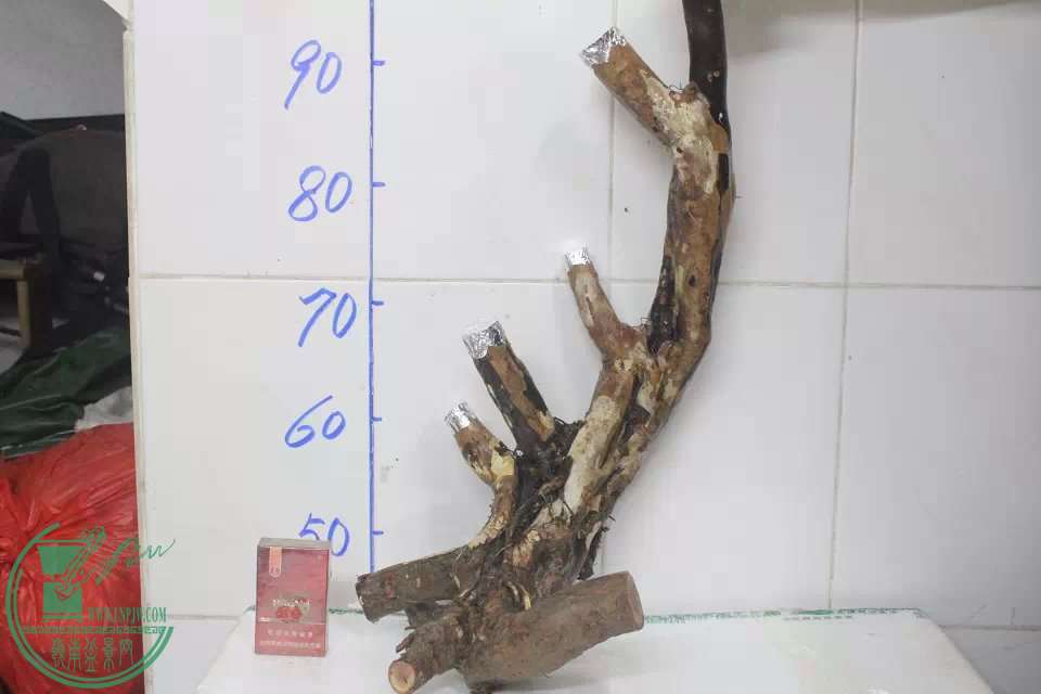 psb(2).jpg
