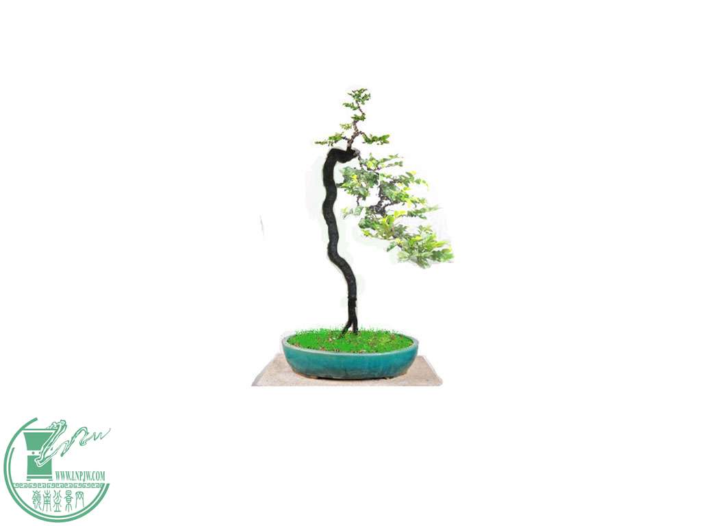 P1120869__.jpg