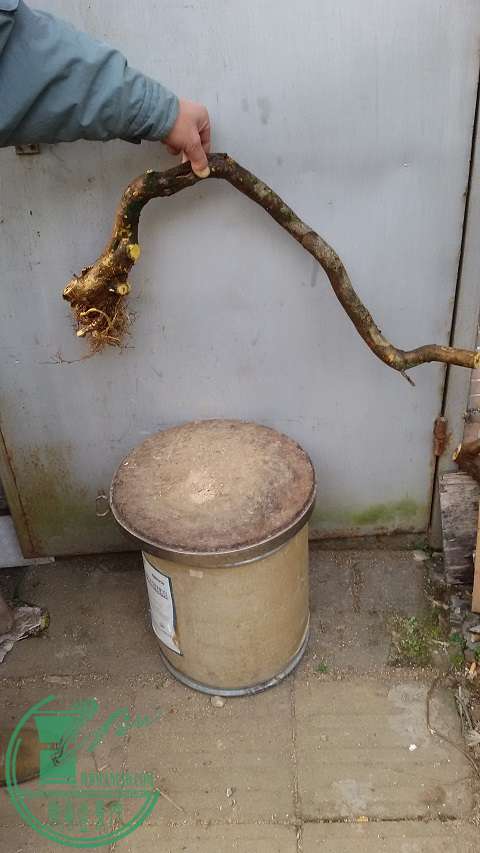 20150205_154422.jpg