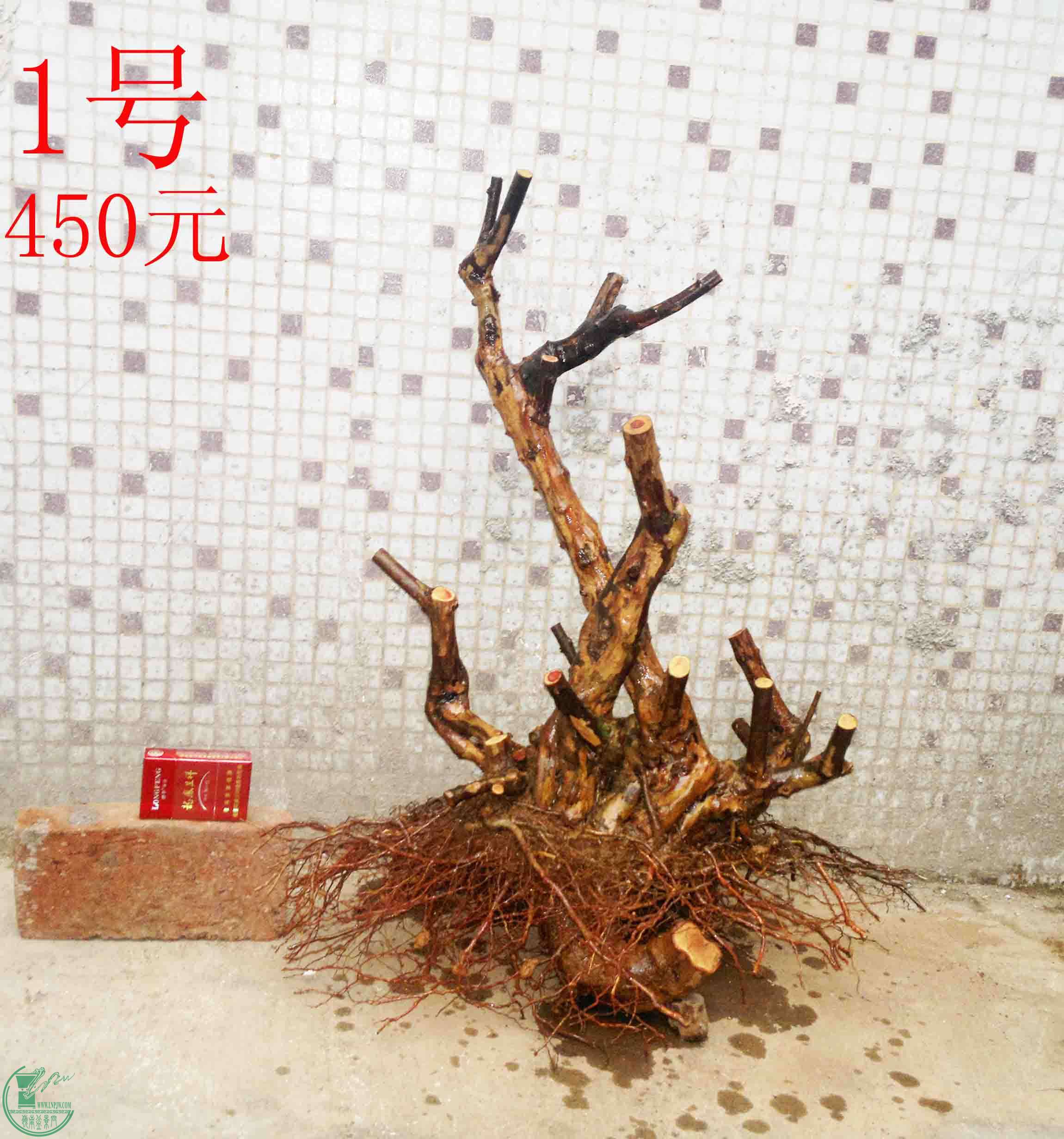 201502051905.jpg