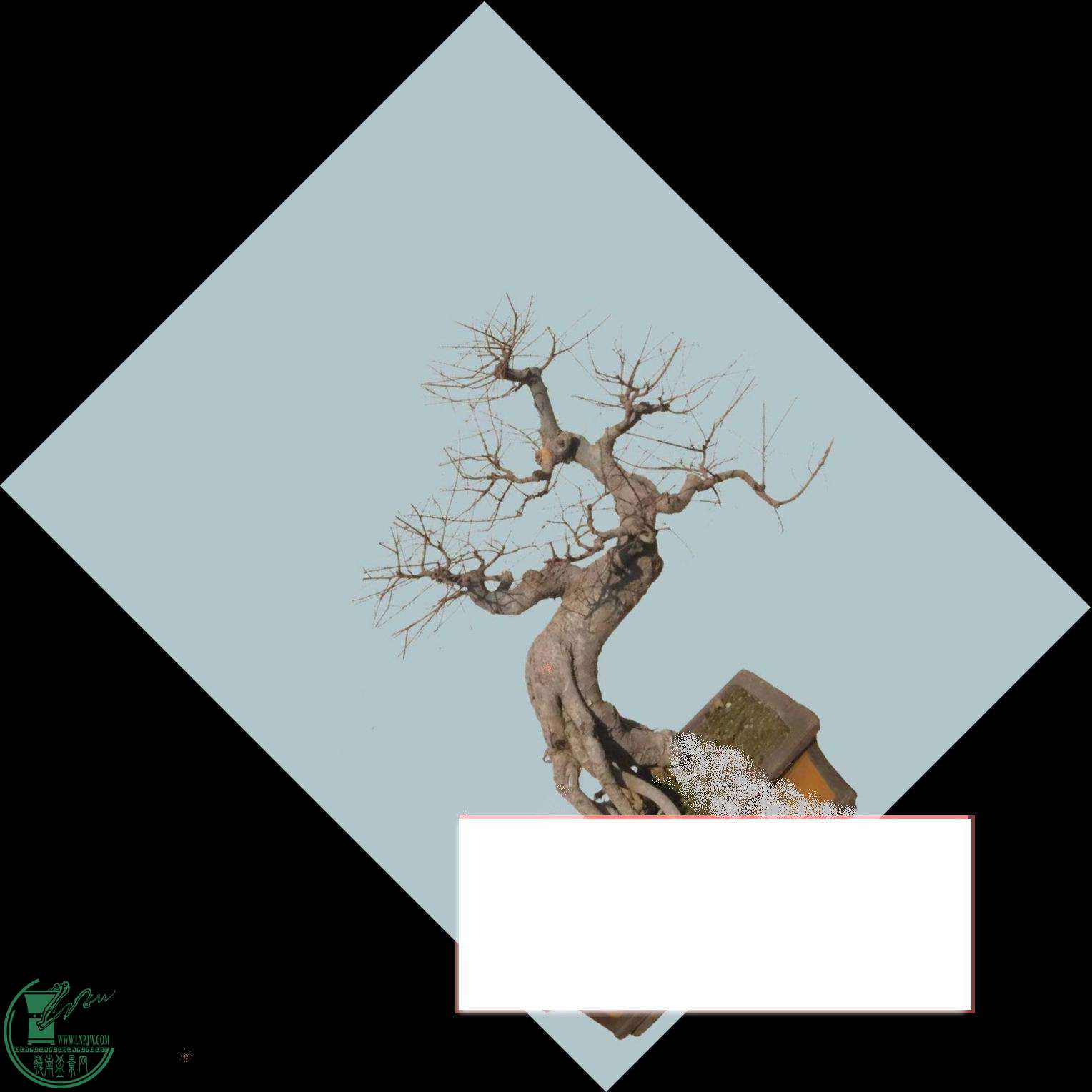 092126p3aahx2xaqrgtouq.jpg.thumb.jpg