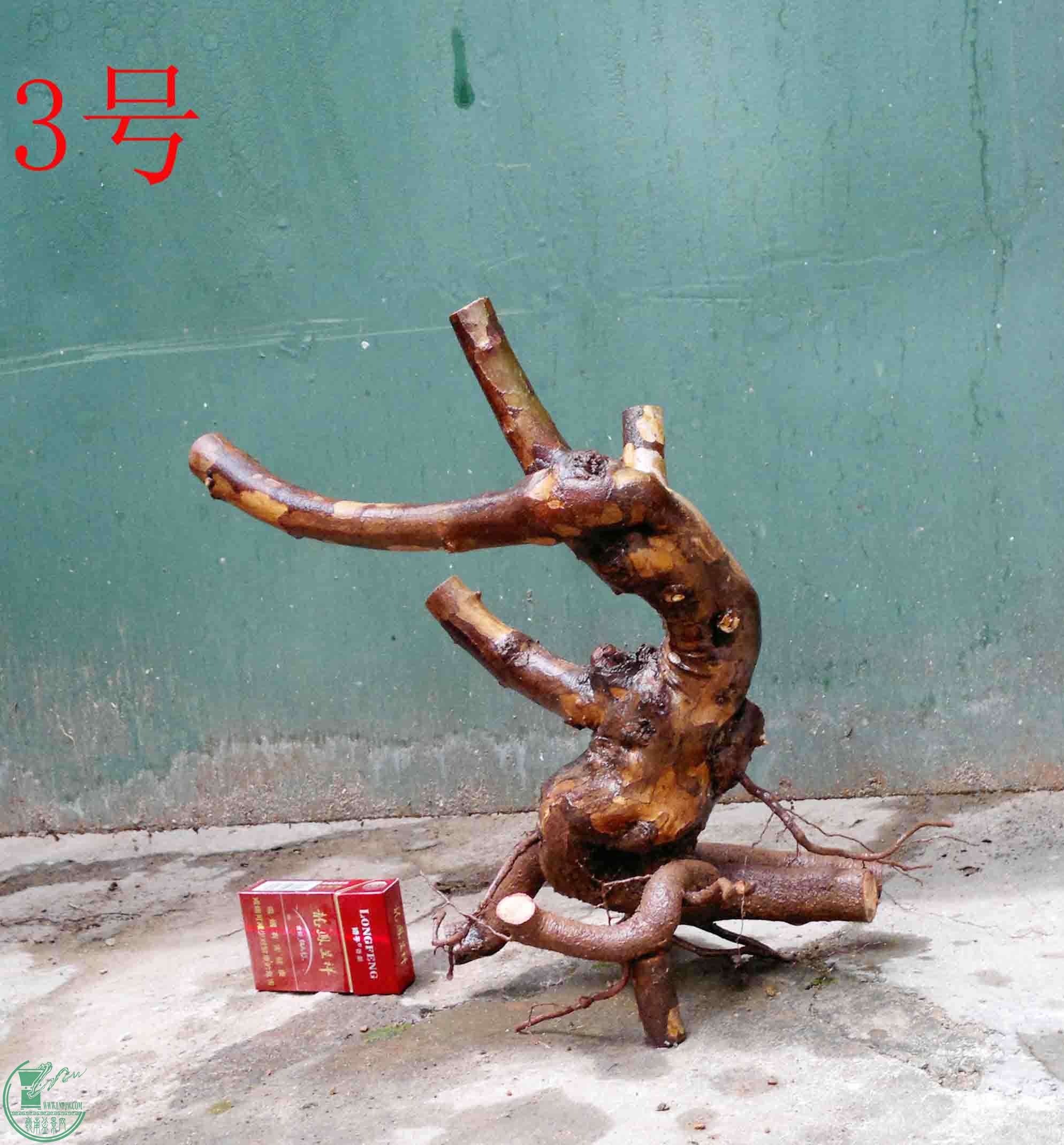 201502071945.jpg