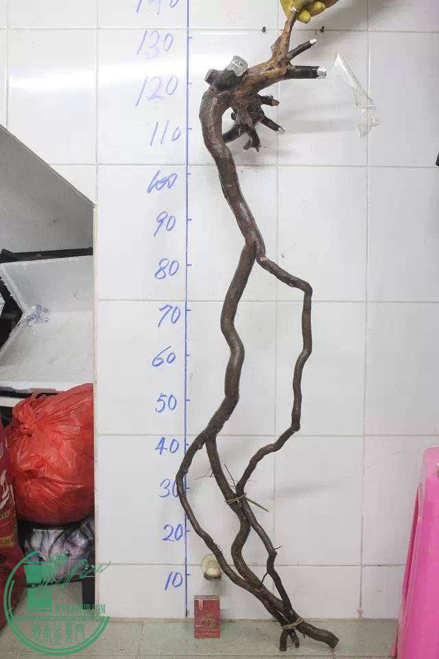 004148x8oq3vijjrv33vev.jpg.thumb.jpg