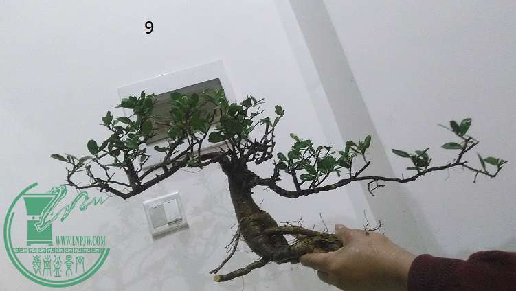 IMG_20150207_201251.jpg