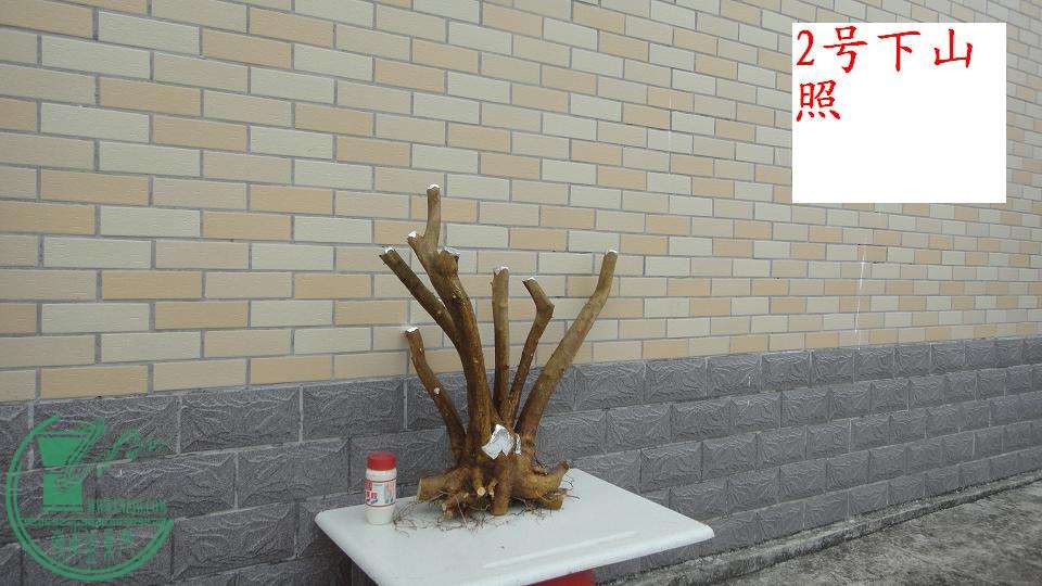 DSC01577.JPG