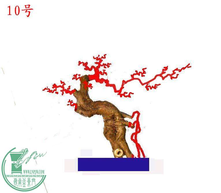 1DSCN3520.JPG