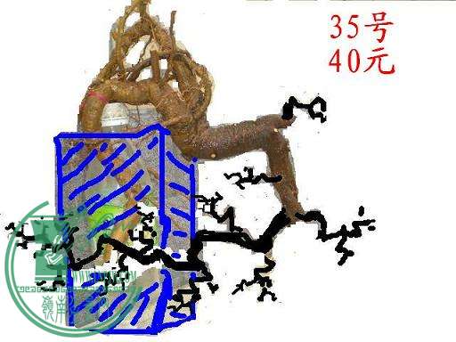 1ͼDSCN3915.JPG