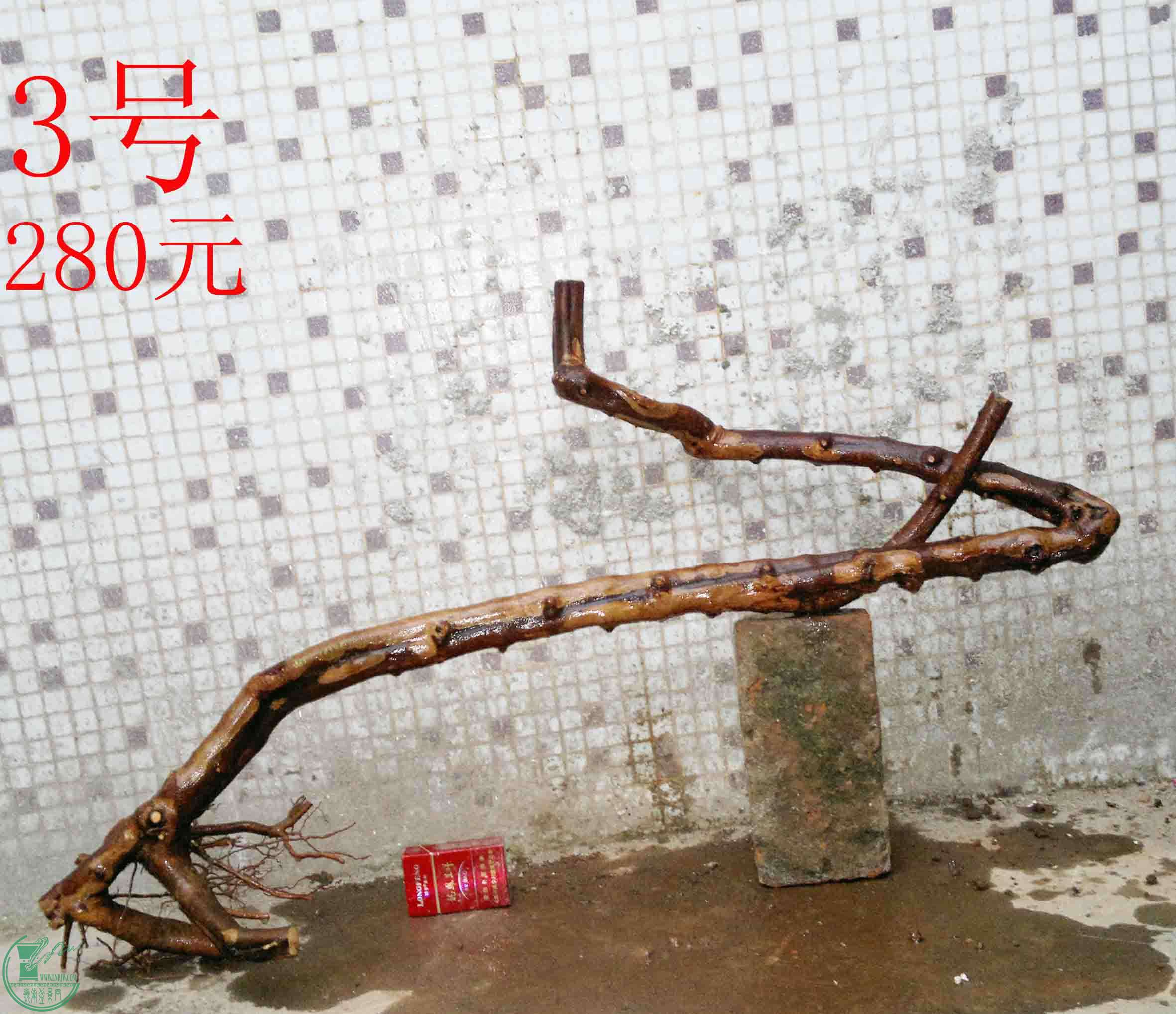 201502082039.jpg