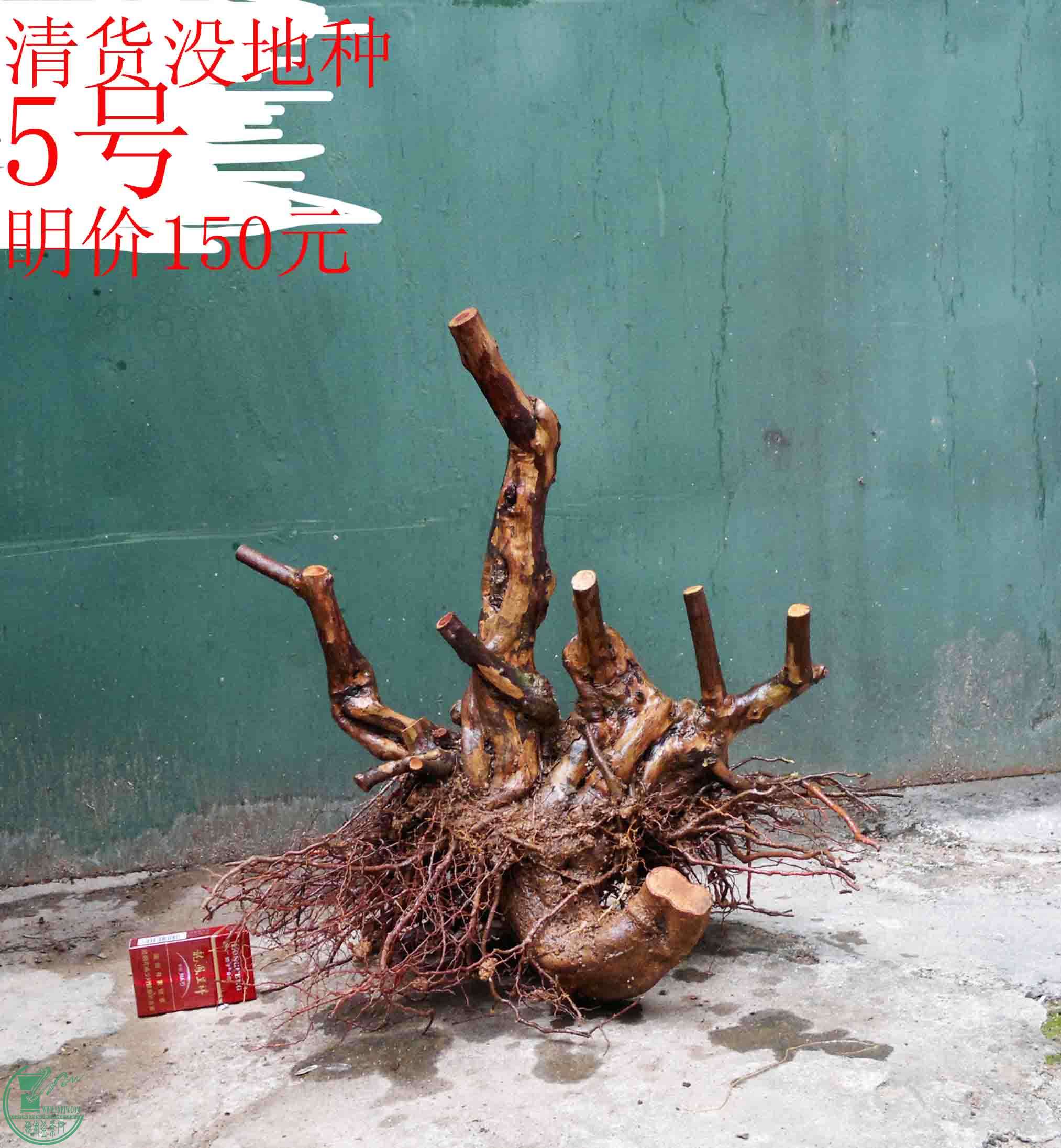 201502071935.jpg
