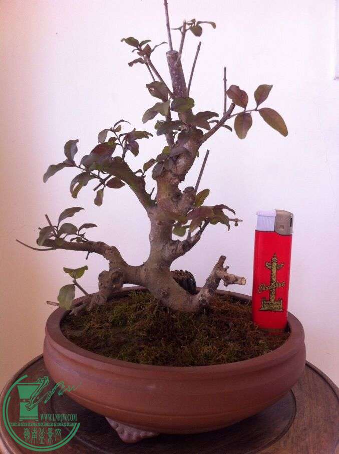 QQͼƬ20150209131933.jpg