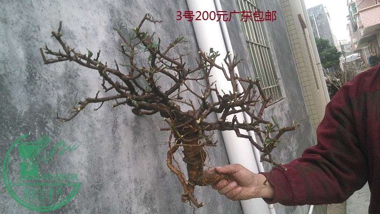 QQͼƬ20150209192037.jpg