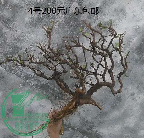QQͼƬ20150209192057.jpg
