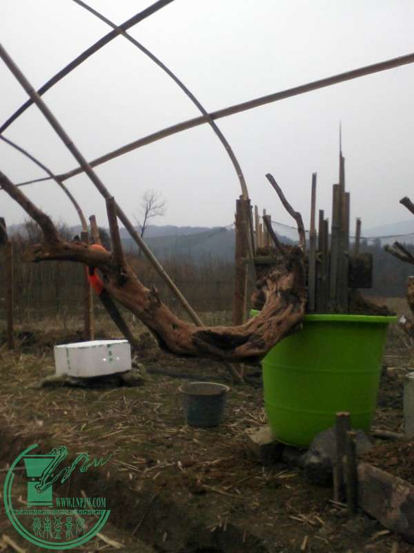 Ƭ-0029.jpg