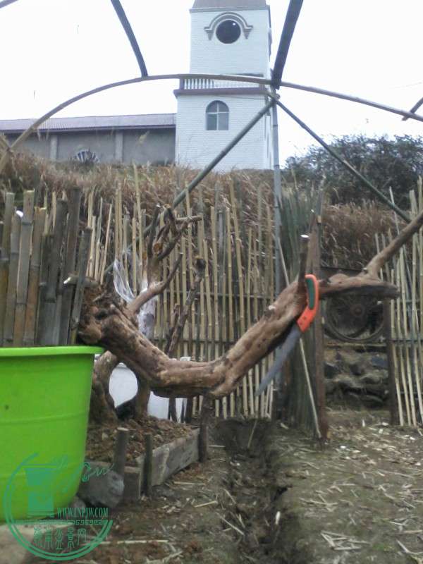 Ƭ-0028.jpg