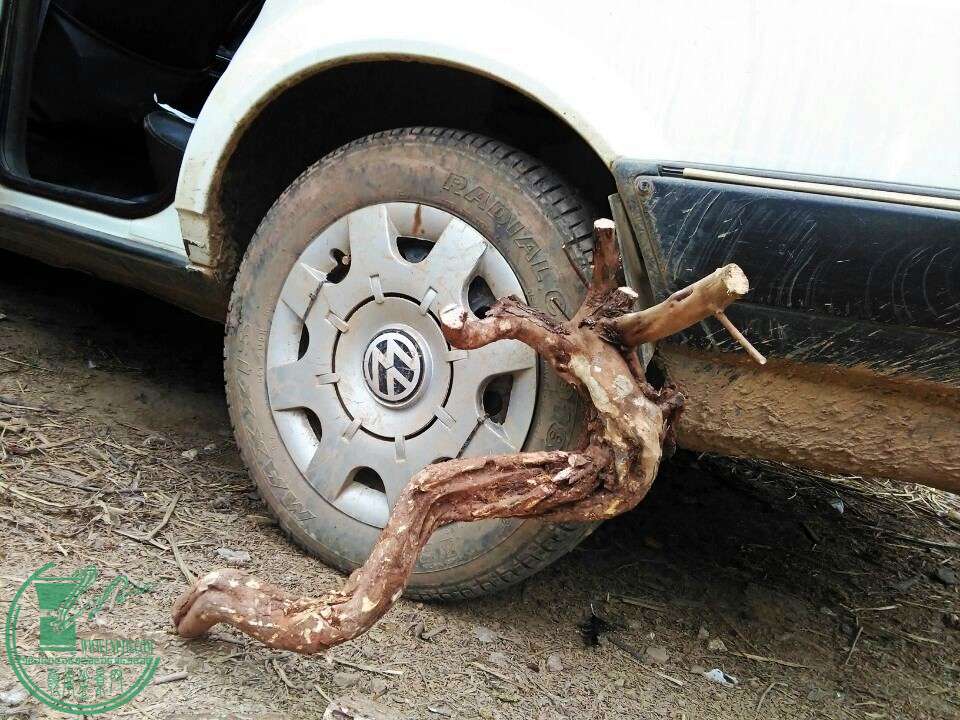 Сȸ.jpg