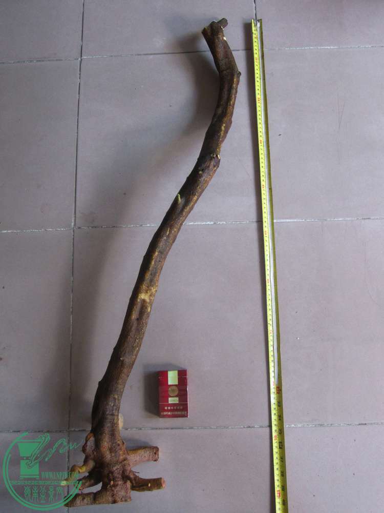 棬߶1.JPG