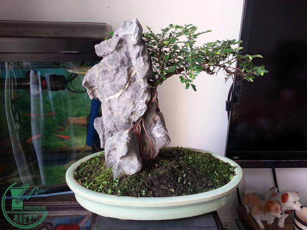 20141008_152439__.jpg
