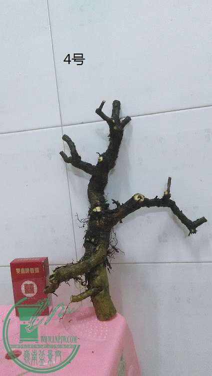QQͼƬ20150210222610.jpg