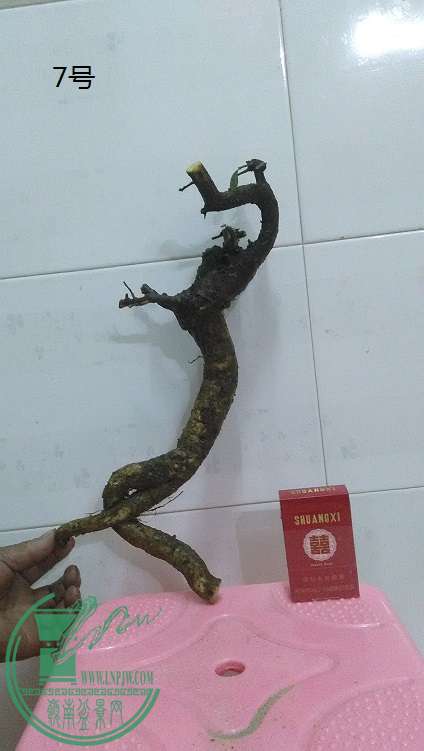 QQͼƬ20150210222639.jpg