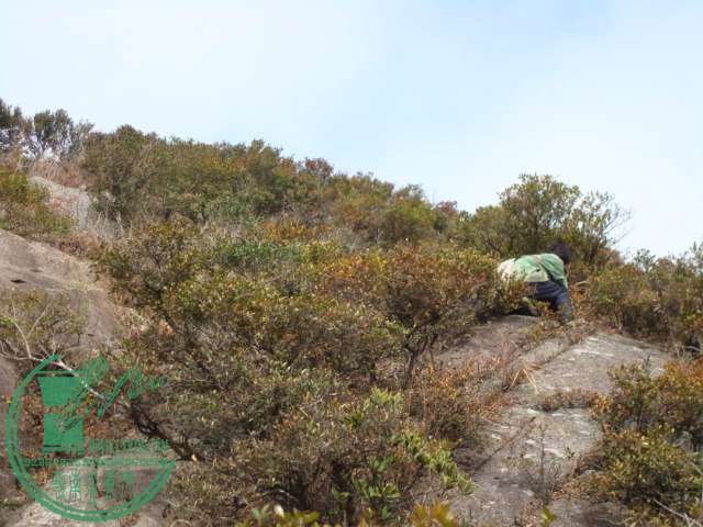 DSC03776.JPG
