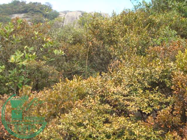DSC03826.JPG