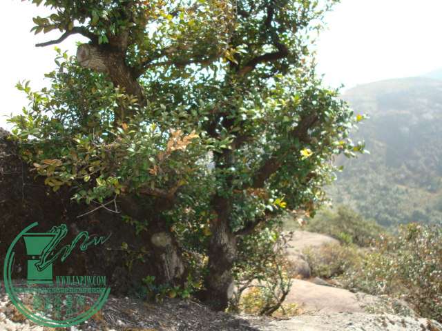 DSC03888.JPG