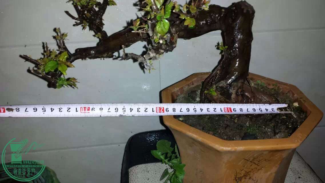 113.jpg