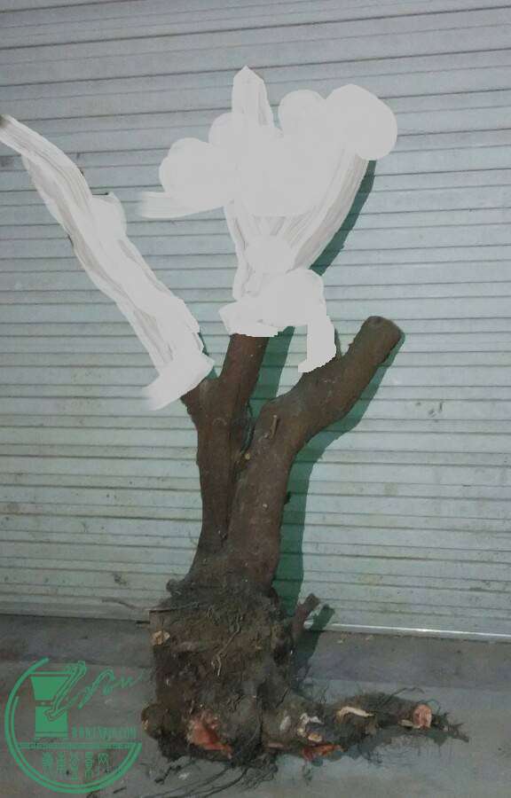 214004atkt22obhz2dkhy8_jpg_thumb.jpg