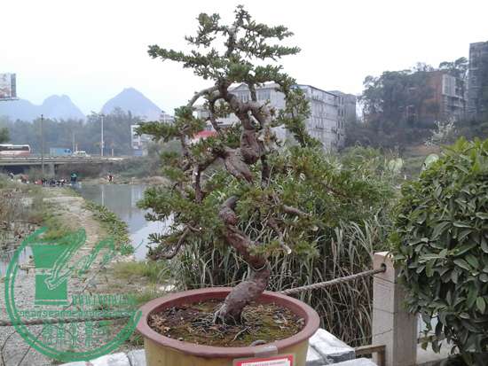 20150213_091844.jpg