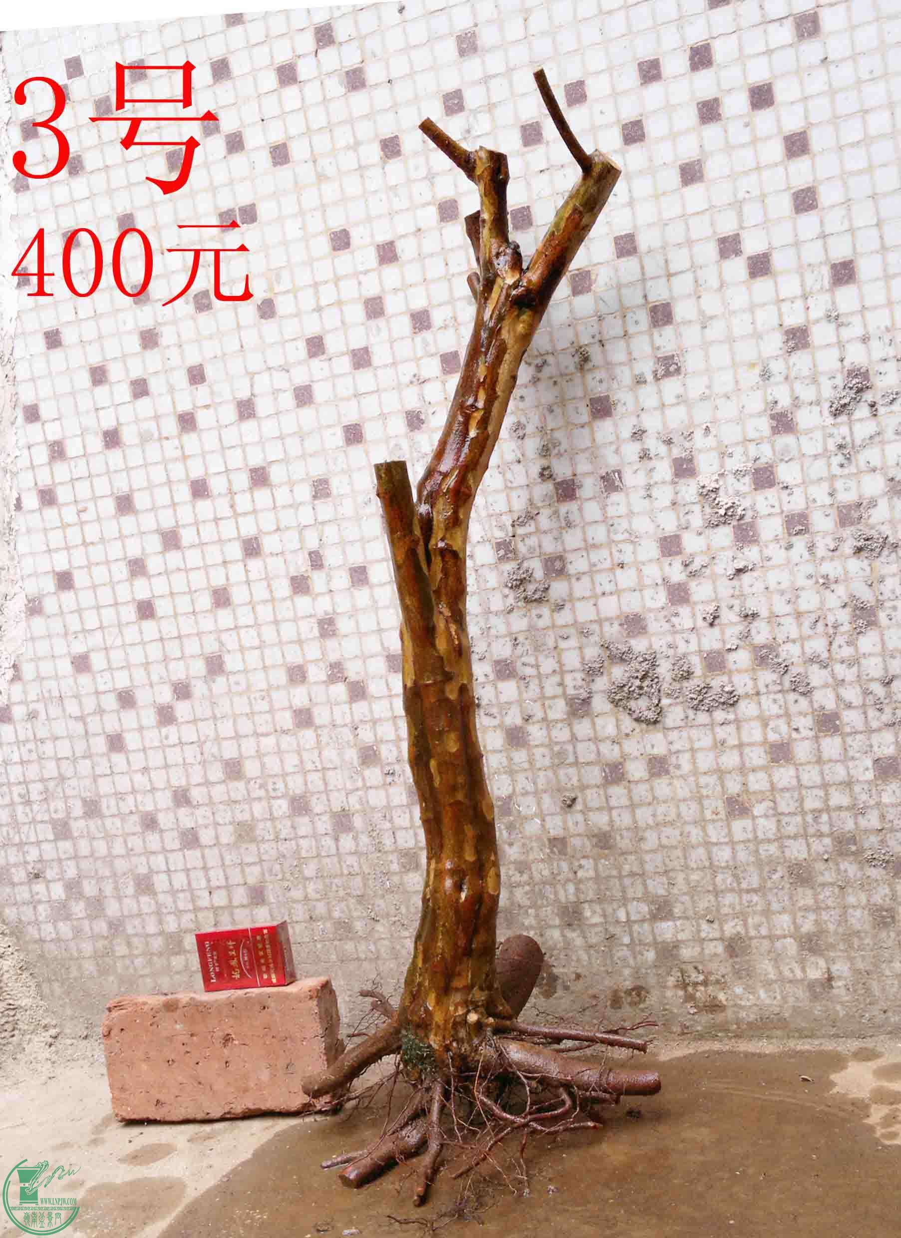 201502142116.jpg