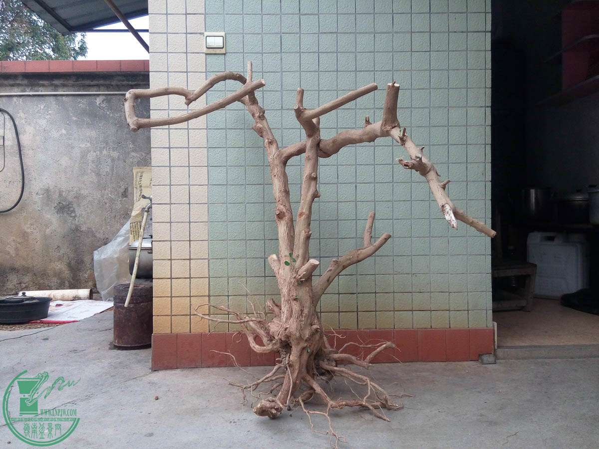 08_С.jpg